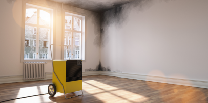 Understanding Mould Damp and Condensation in rental properties